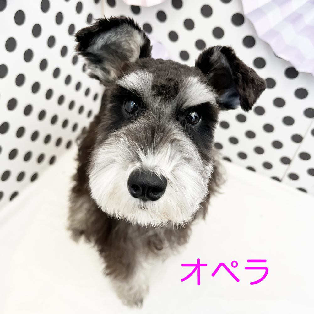 ５月・６月で１歳になりました♪